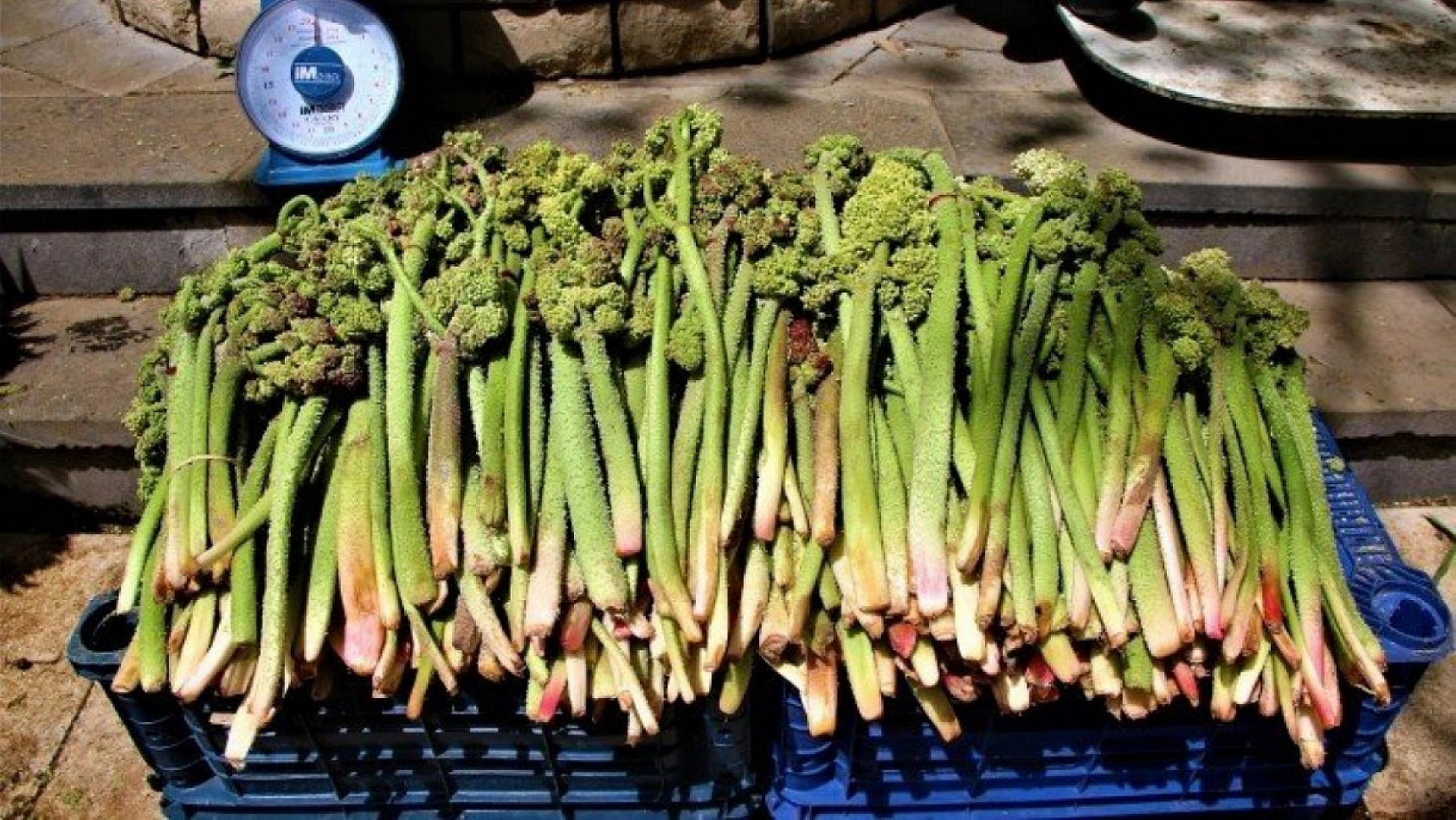 Elazığ'da Bunları Kaçıran Üzülür Seneye Mayısa Kadar Yok…