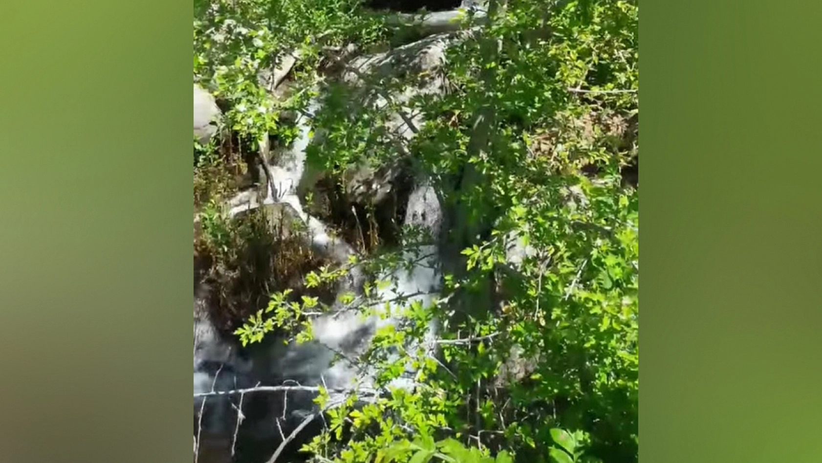 Elazığ'da bu köy: 'Nergis kadar saf, göç kadar hüzünlü'