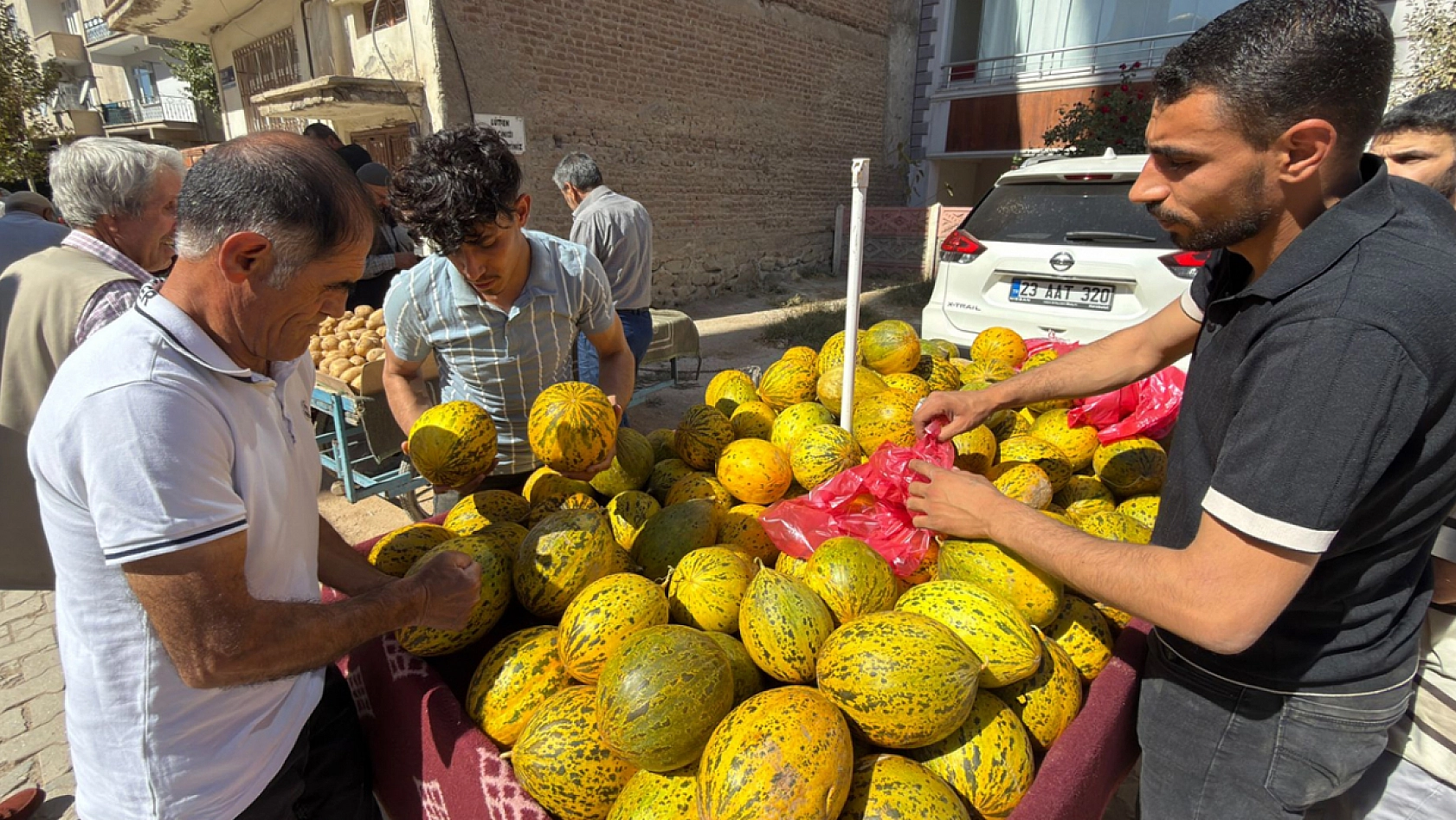 Elazığ'da nerden geldiğini duyan sıraya girdi: Tanesi 20 liradan satıldı poşet poşet alındı