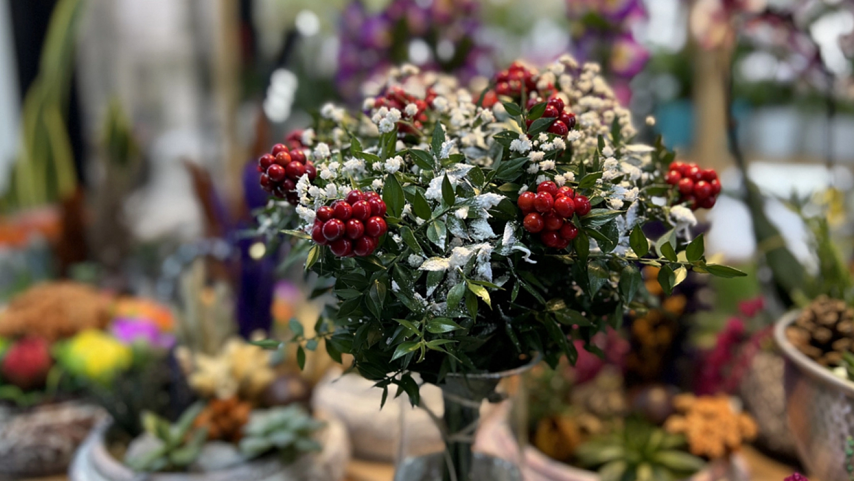 Elazığlılar dikkat! Bu çiçekten zehirlenebilirsiniz