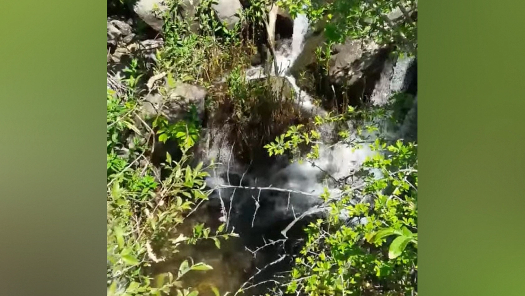 Elazığ'da bu köy: 'Nergis kadar saf, göç kadar hüzünlü'