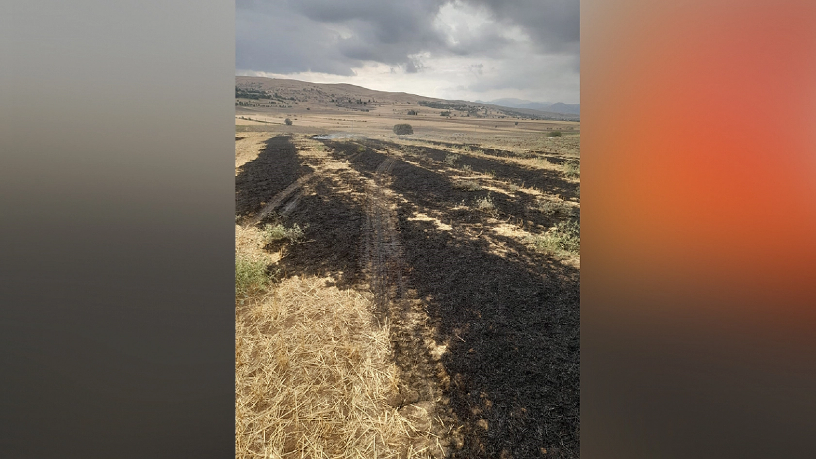 Elazığ'da korkutan yangın