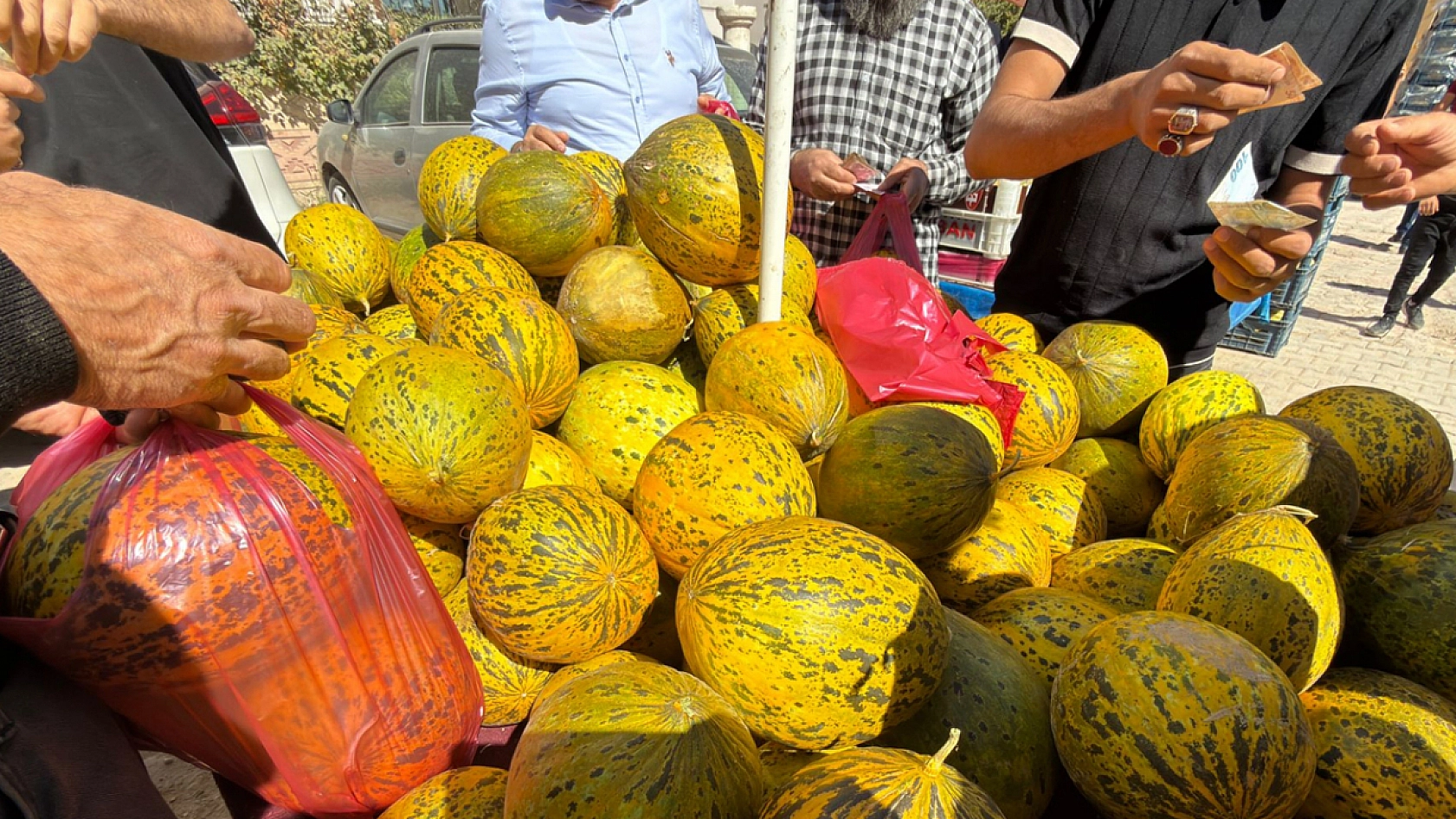 Elazığ'da nerden geldiğini duyan sıraya girdi: Tanesi 20 liradan satıldı poşet poşet alındı