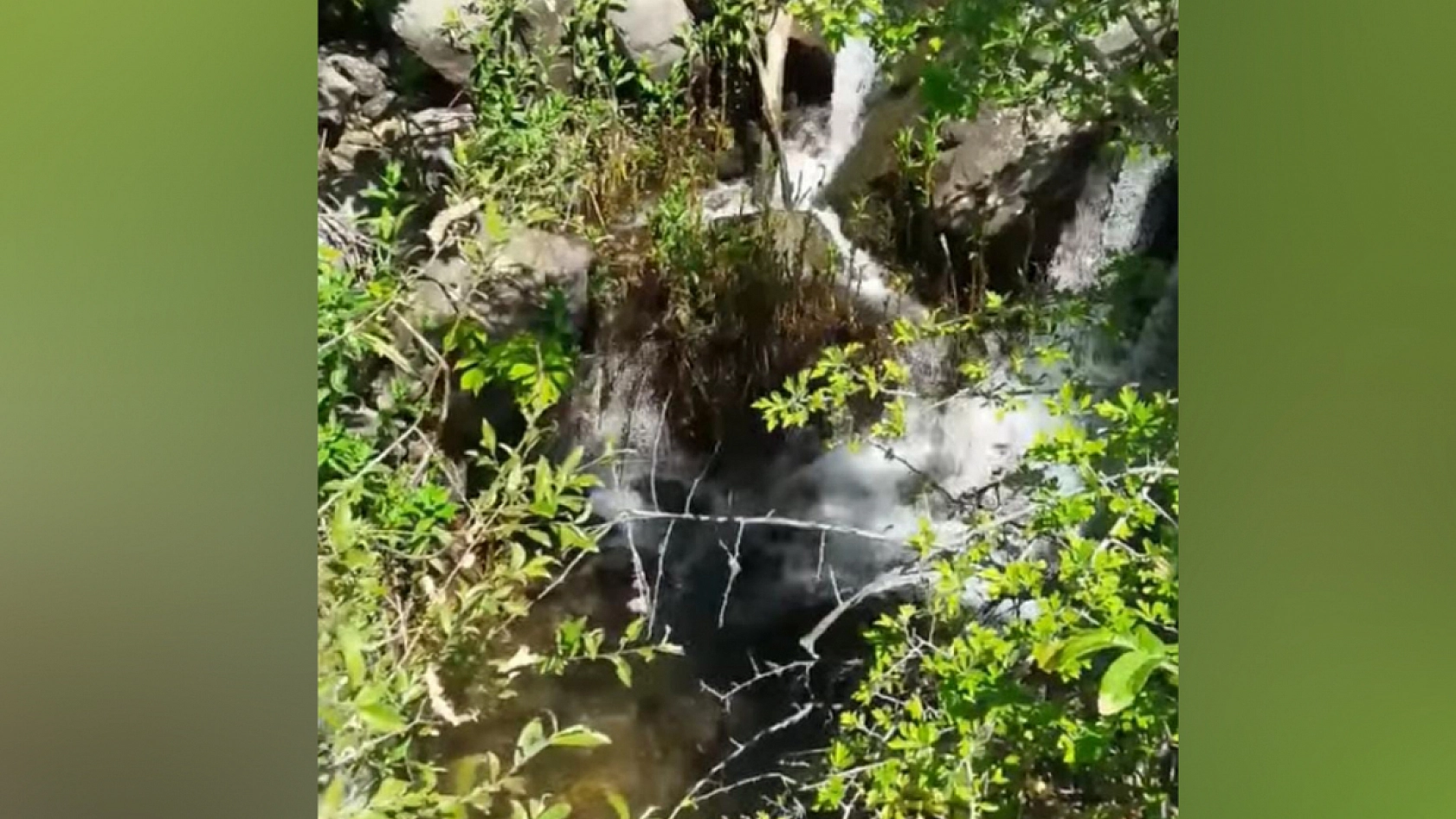 Elazığ'da bu köy: 'Nergis kadar saf, göç kadar hüzünlü'