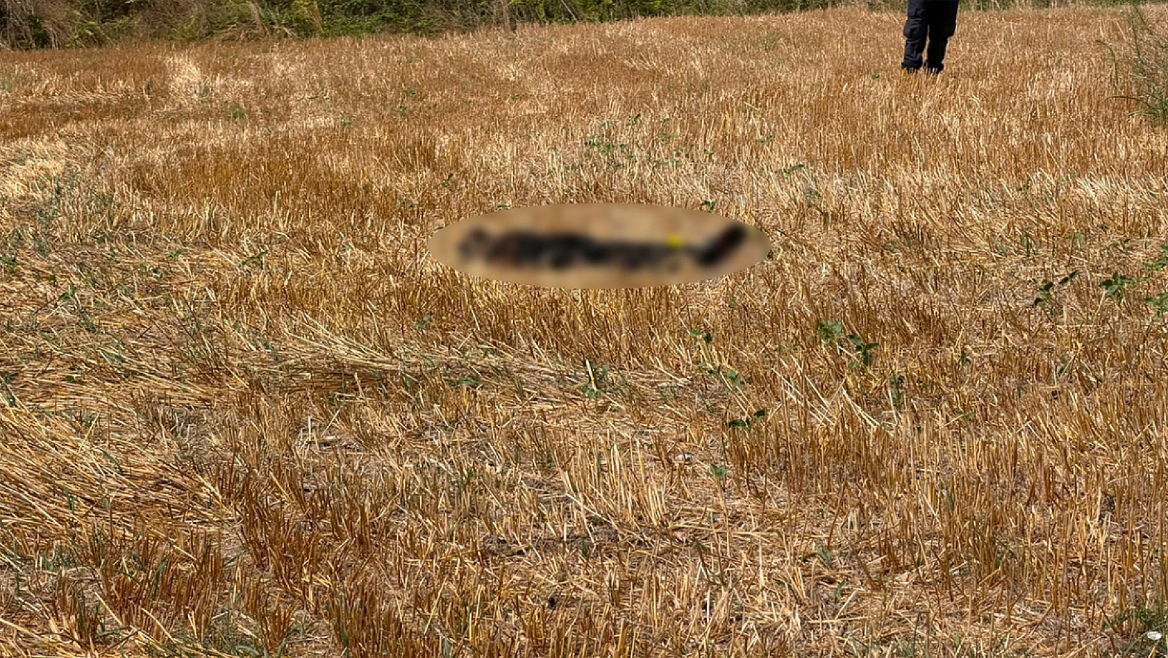 Kayıp olan adamın cesedi 15 gün sonra bulundu
