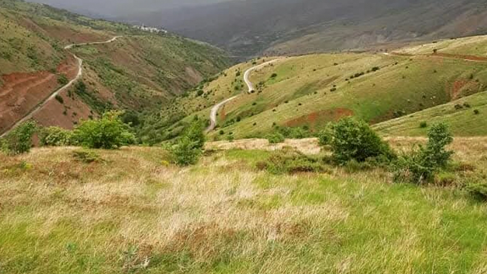 Elazığ'da bu köy: 'Nergis kadar saf, göç kadar hüzünlü'