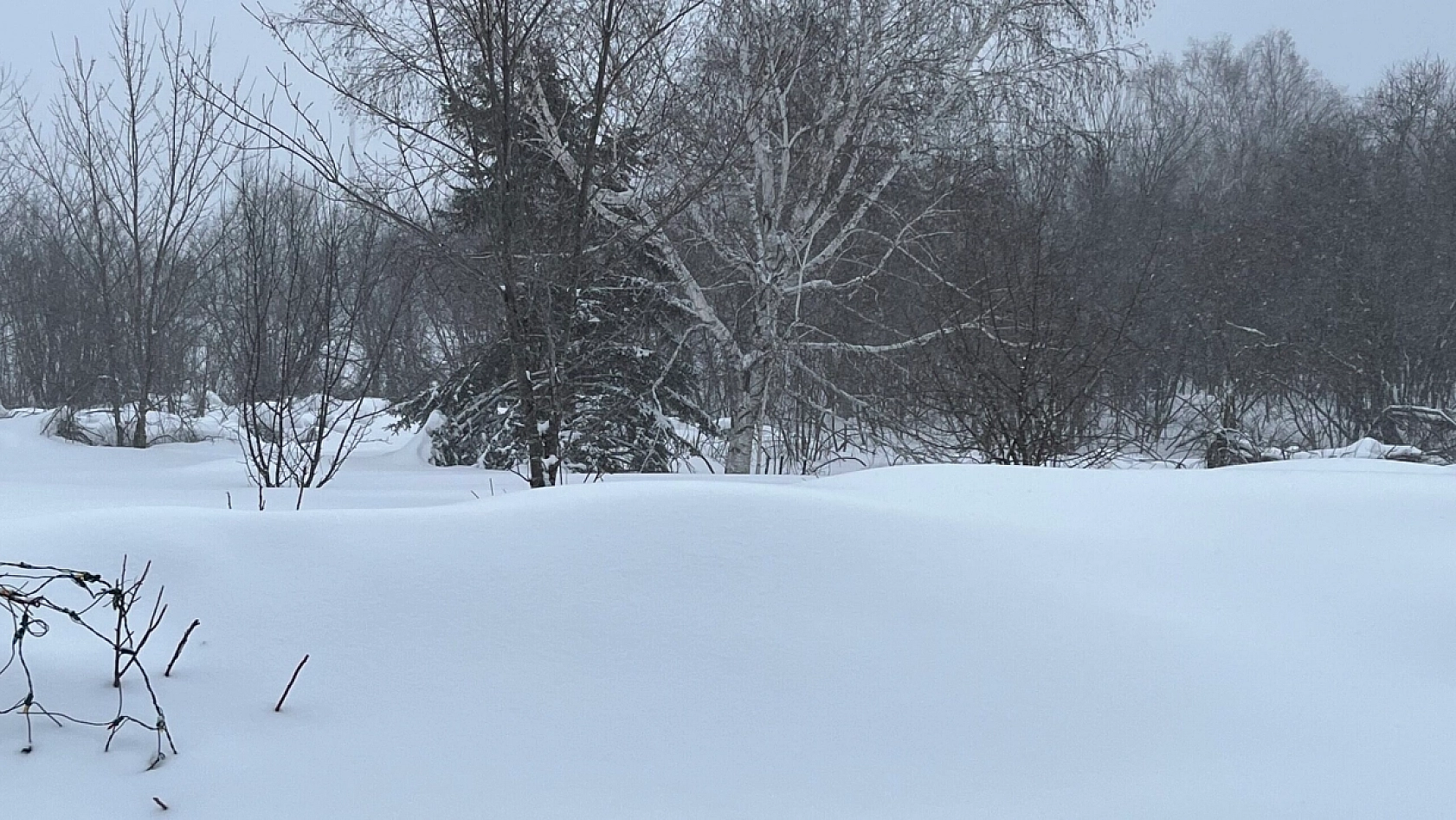 Elazığ'a Sibirya soğukları geliyor! Termometreler eksi 10'u gösterecek