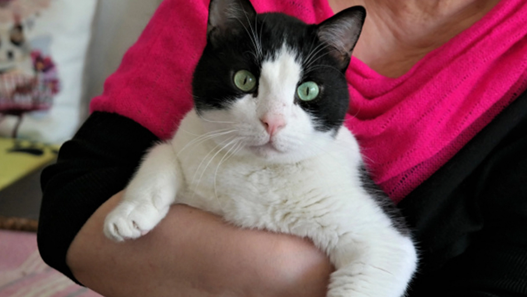 Elazığ'da fiyatı en fazla artan ve azalan ürünler