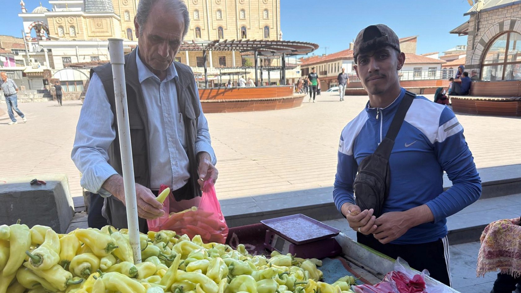 Elazığ'da kilosu 15 liraya düştü, vatandaşlar kapıştı