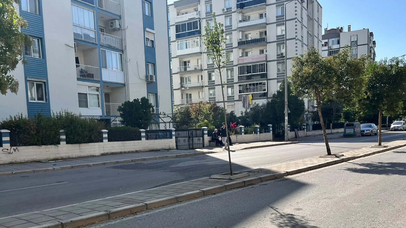 Kardeşlerin kavgası kanlı bitti