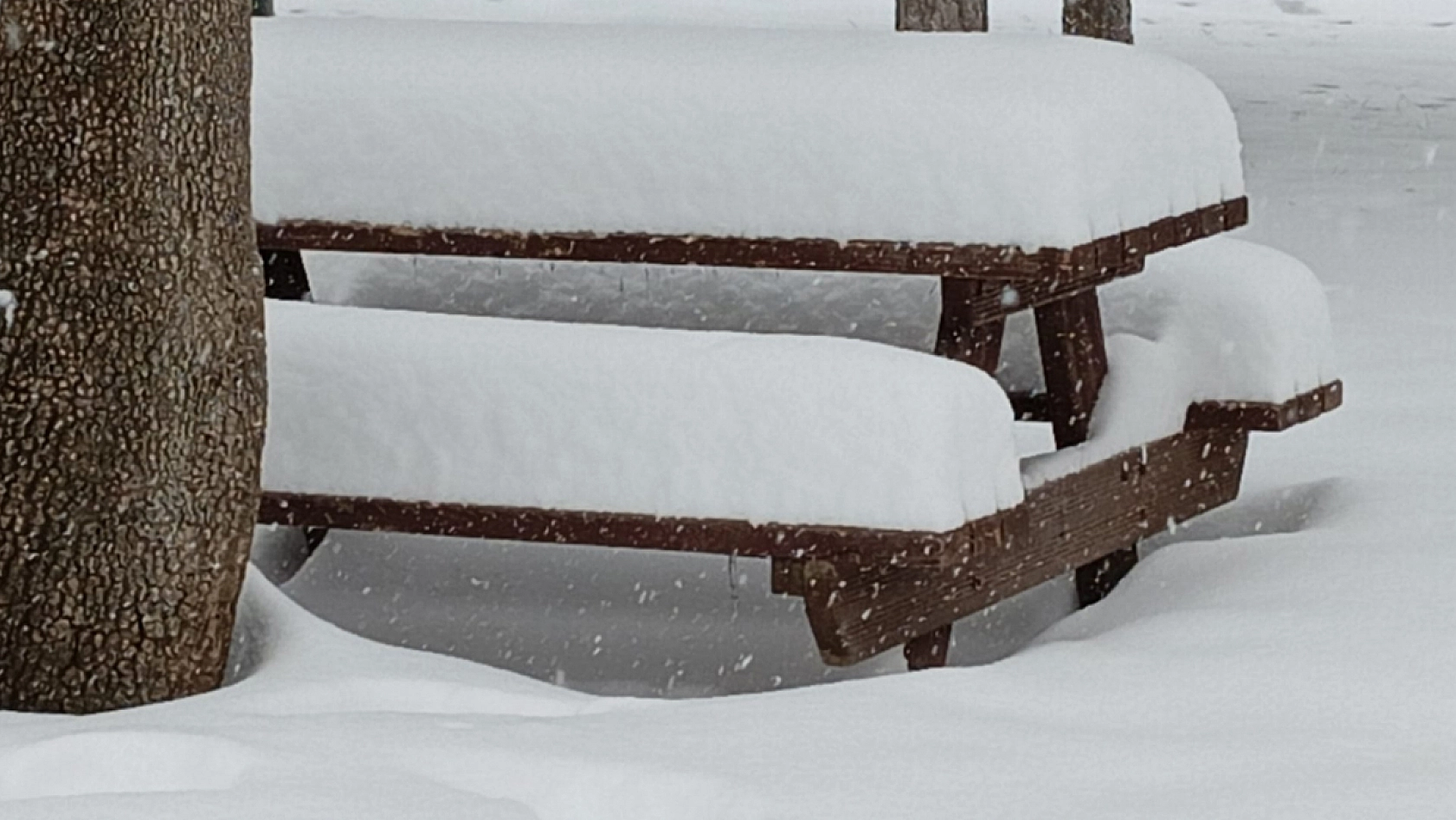 Elazığ'da kar ve tehlike alarmı: Vatandaşlar dikkatli olmalı