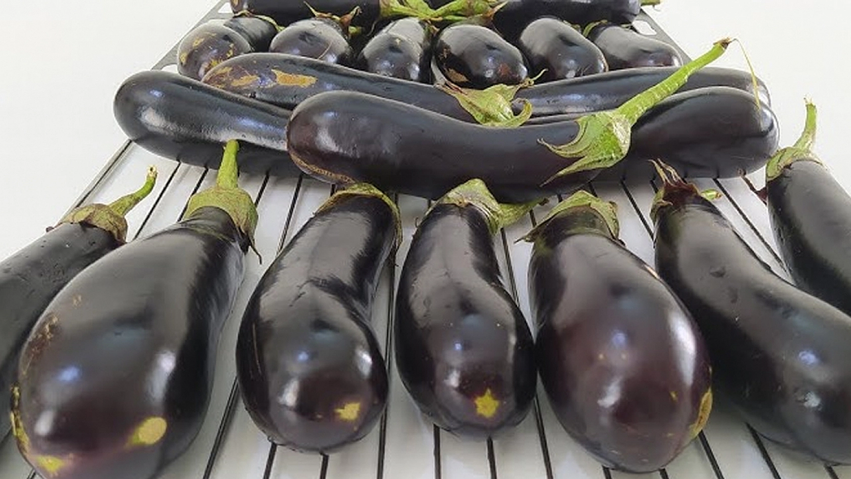 Elazığlı hanımlar dikkat: Kış hazırlığınız neredeyse bedavaya gelecek