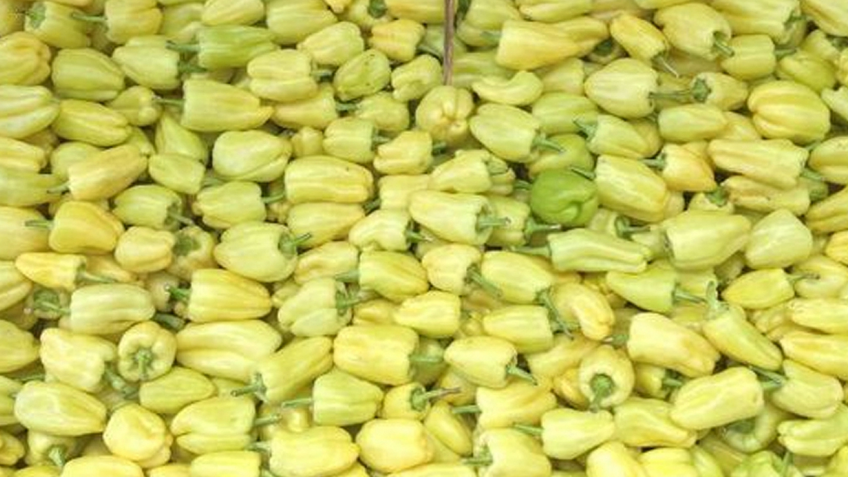 Elazığlı hanımlar dikkat: Kış hazırlığınız neredeyse bedavaya gelecek