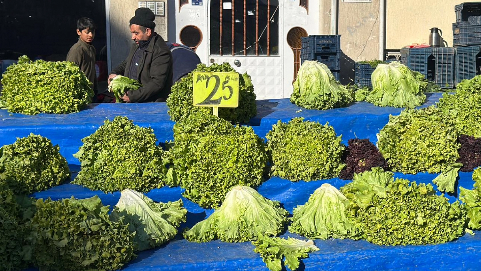 Elazığ halk pazarına yeşillikler renk kattı
