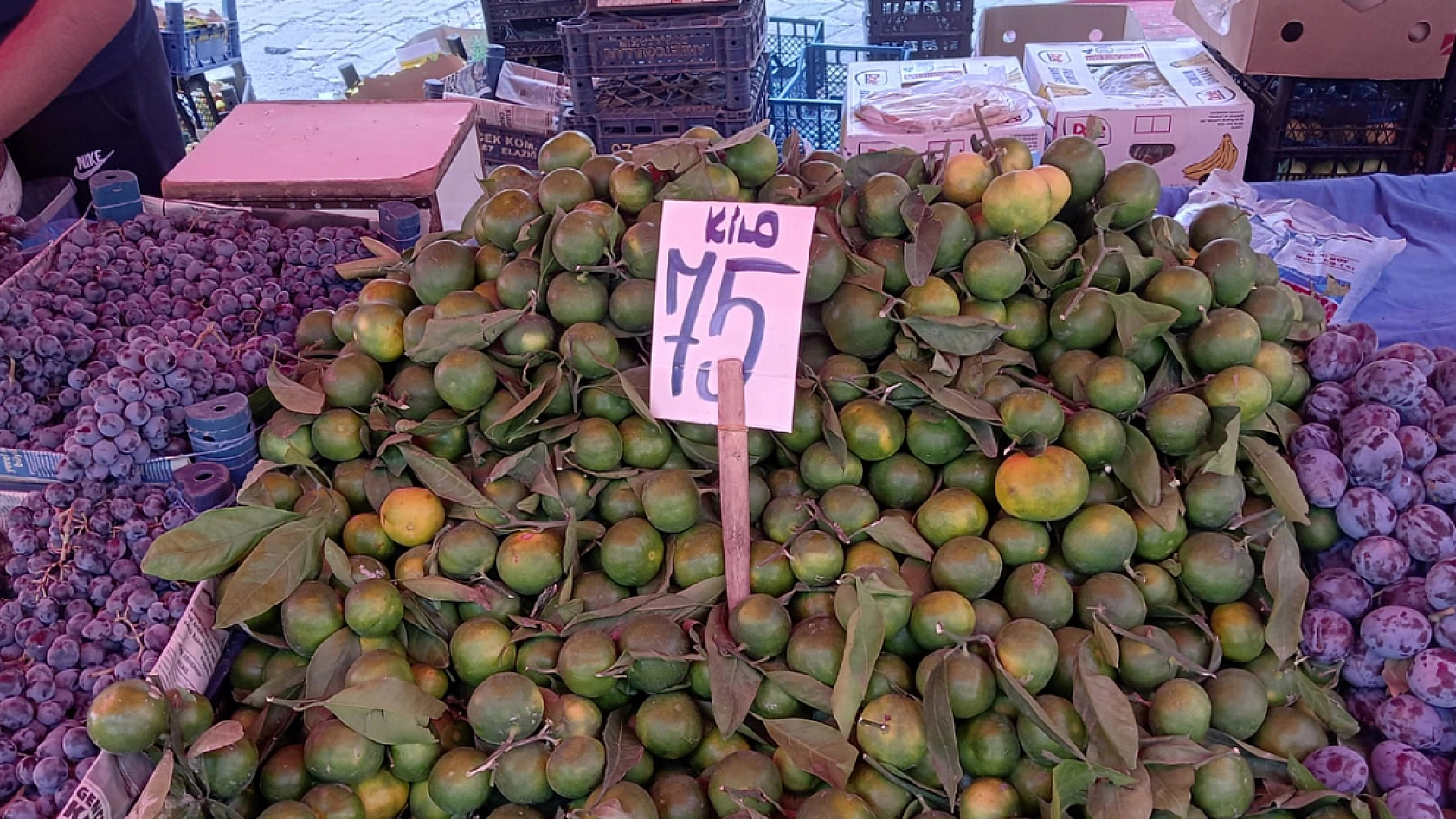 Elazığ'da haftanın ilk gününde pazar fiyatları ne durumda?