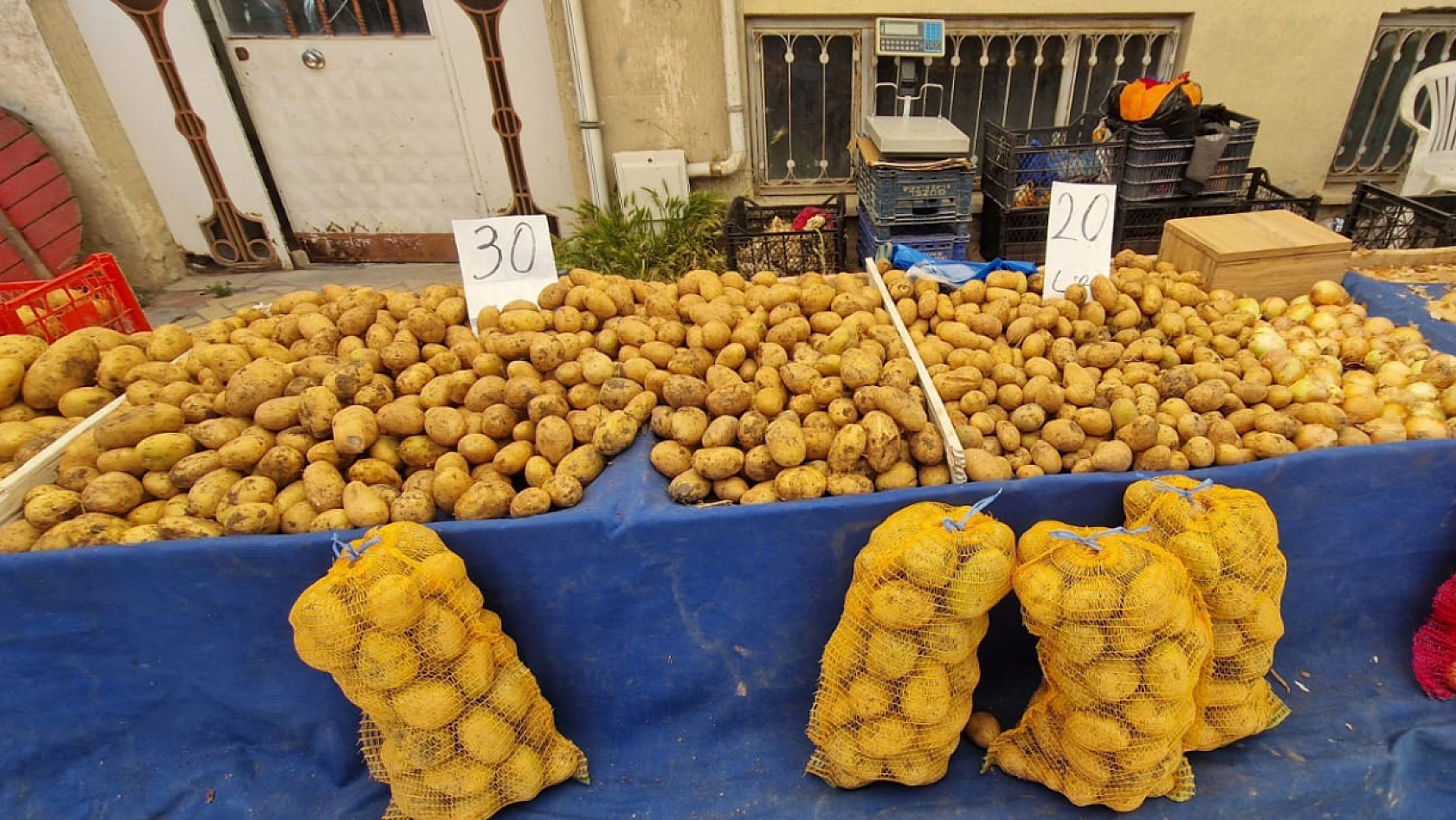 Elazığ'da fiyatlar dibi gördü
