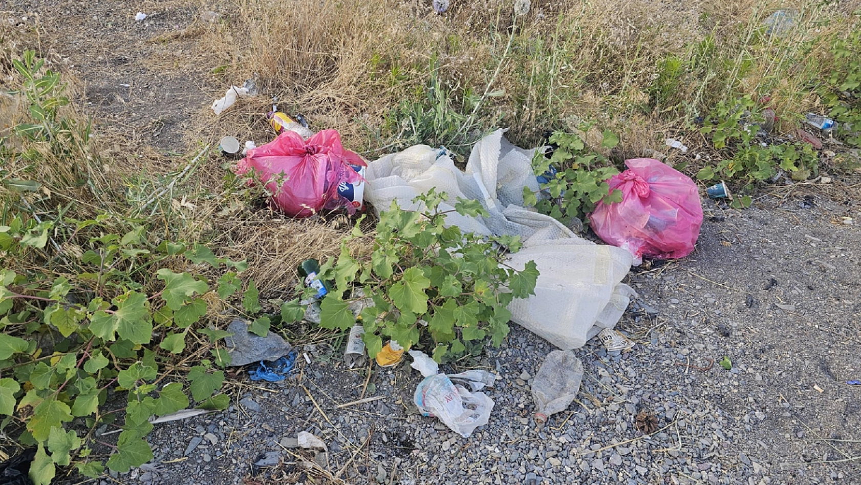 Hazar Gölü'nde çevre felaketi!