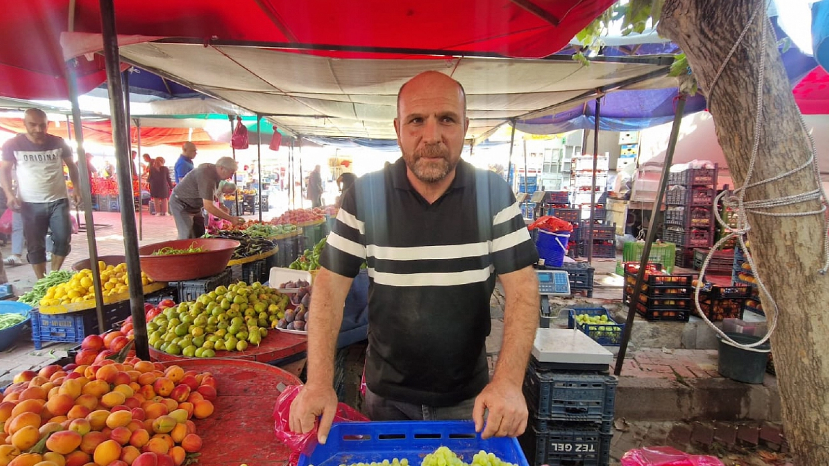Elazığ'da kurutmalık telaşı başladı: Esnaf mal yetiştirmekte zorlandı