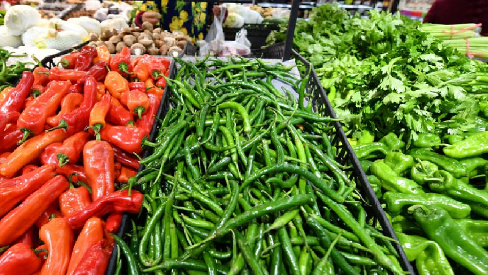 Elazığ'da Poşetleri Hazırlayın, Kışın Hasret Kalmıştık, Taze Taze Geliyorlar