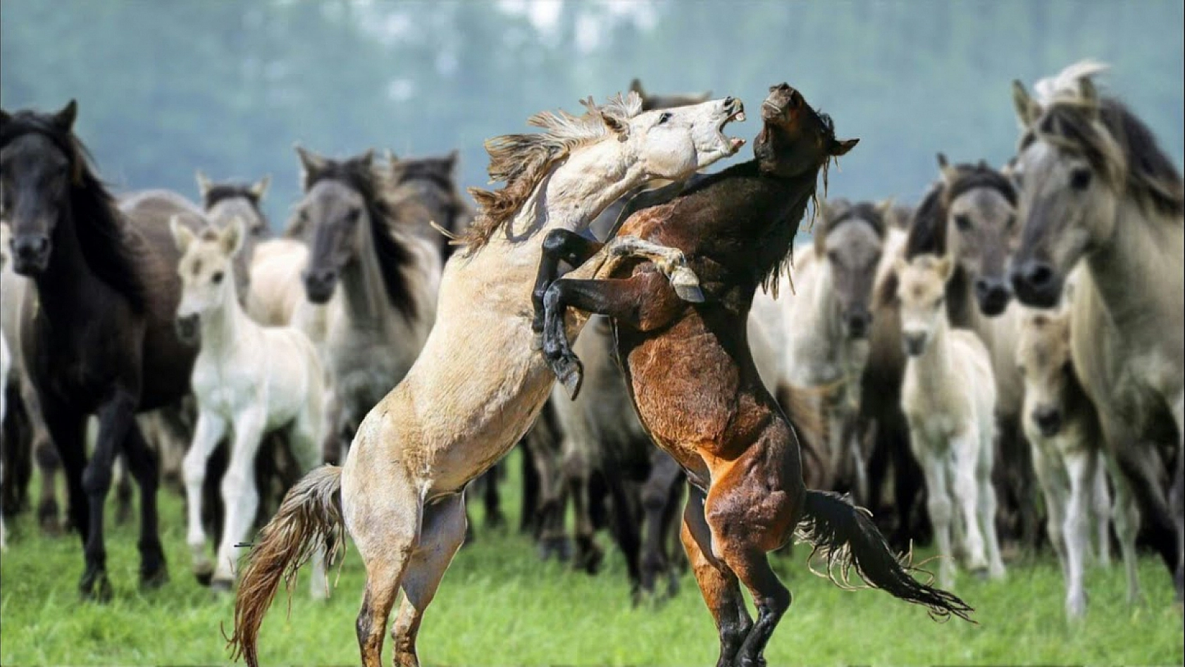 Elazığ'da Bu Hikayeyi Duyan Donup Kalıyor