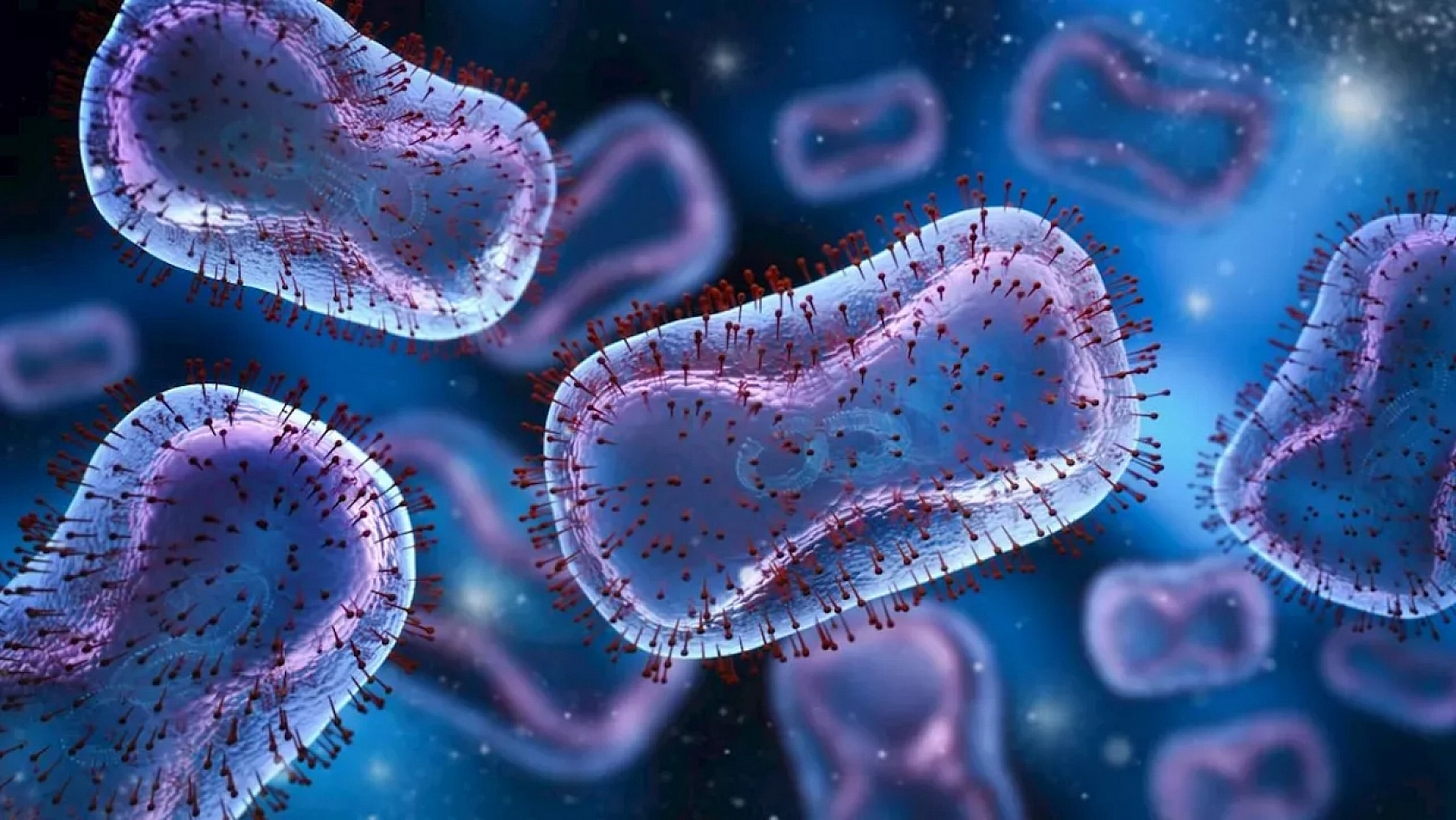 Elazığ'a komşu olan ilde Maymun Çiçeği Virüsü açıklaması! Herkes diken üzerinde bekledi… İşte gelen açıklama