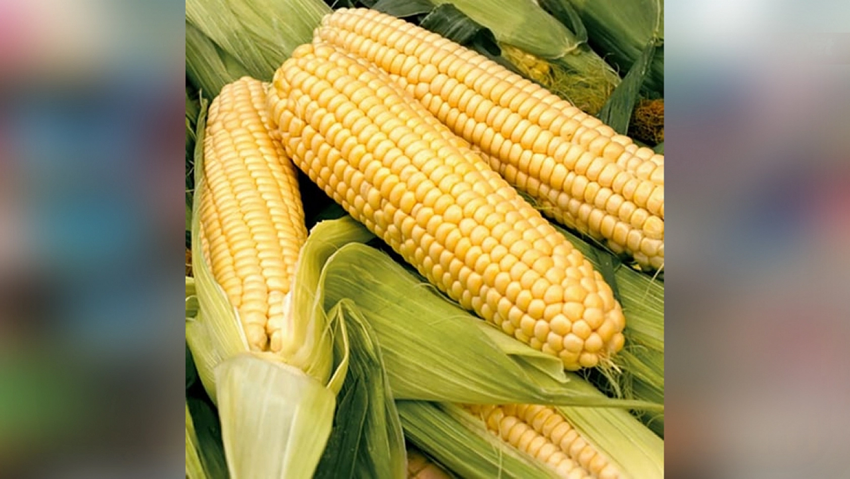 Elazığ'daki Migros şubesi birçok üründe indirime gitti: Hangi ürünler yüzde kaç indirimli?