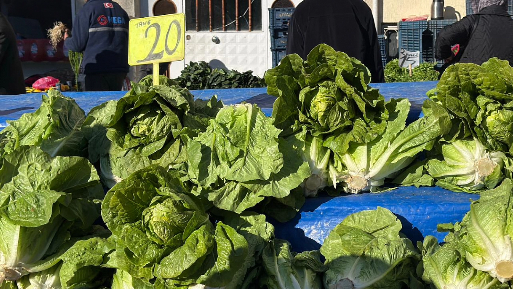 Elazığ halk pazarına yeşillikler renk kattı