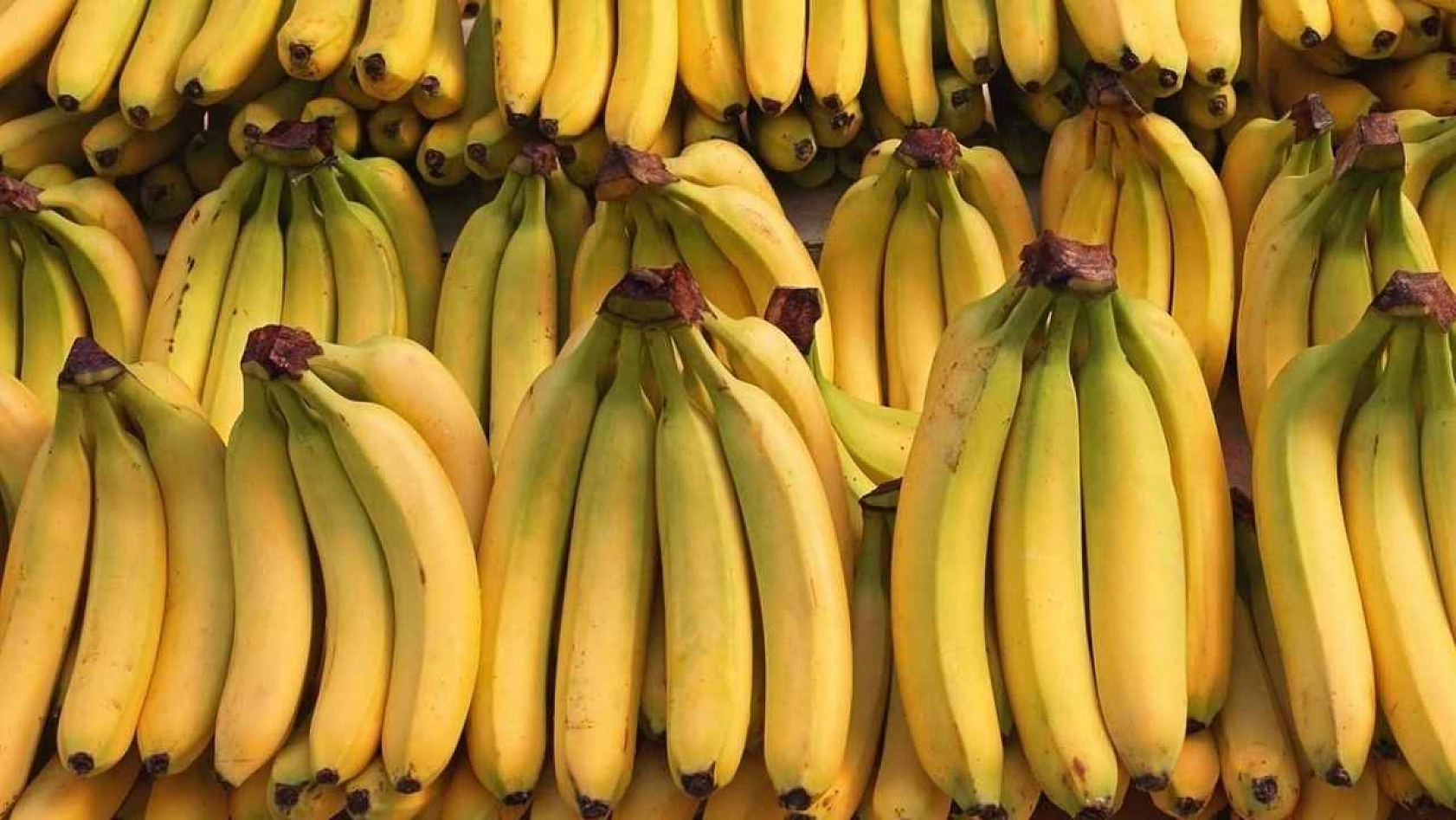 Elazığ'ın marketinde dev indirimler: Sadece bu şubeye özel fiyatları duyan oraya koşacak