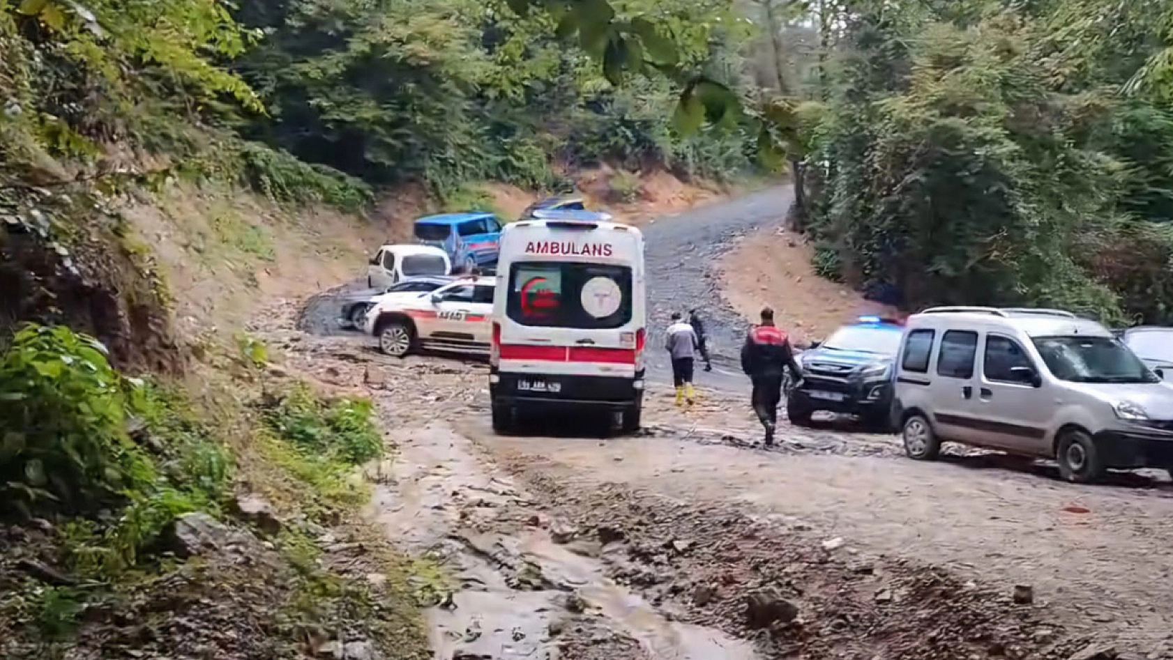Ormanlık alanda ceset bulundu