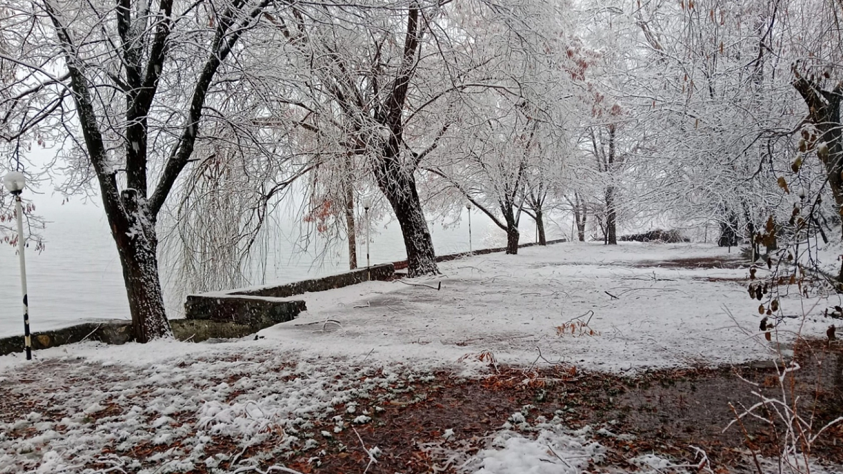 Elazığ'da tam mevsimi duyan buraya koşuyor