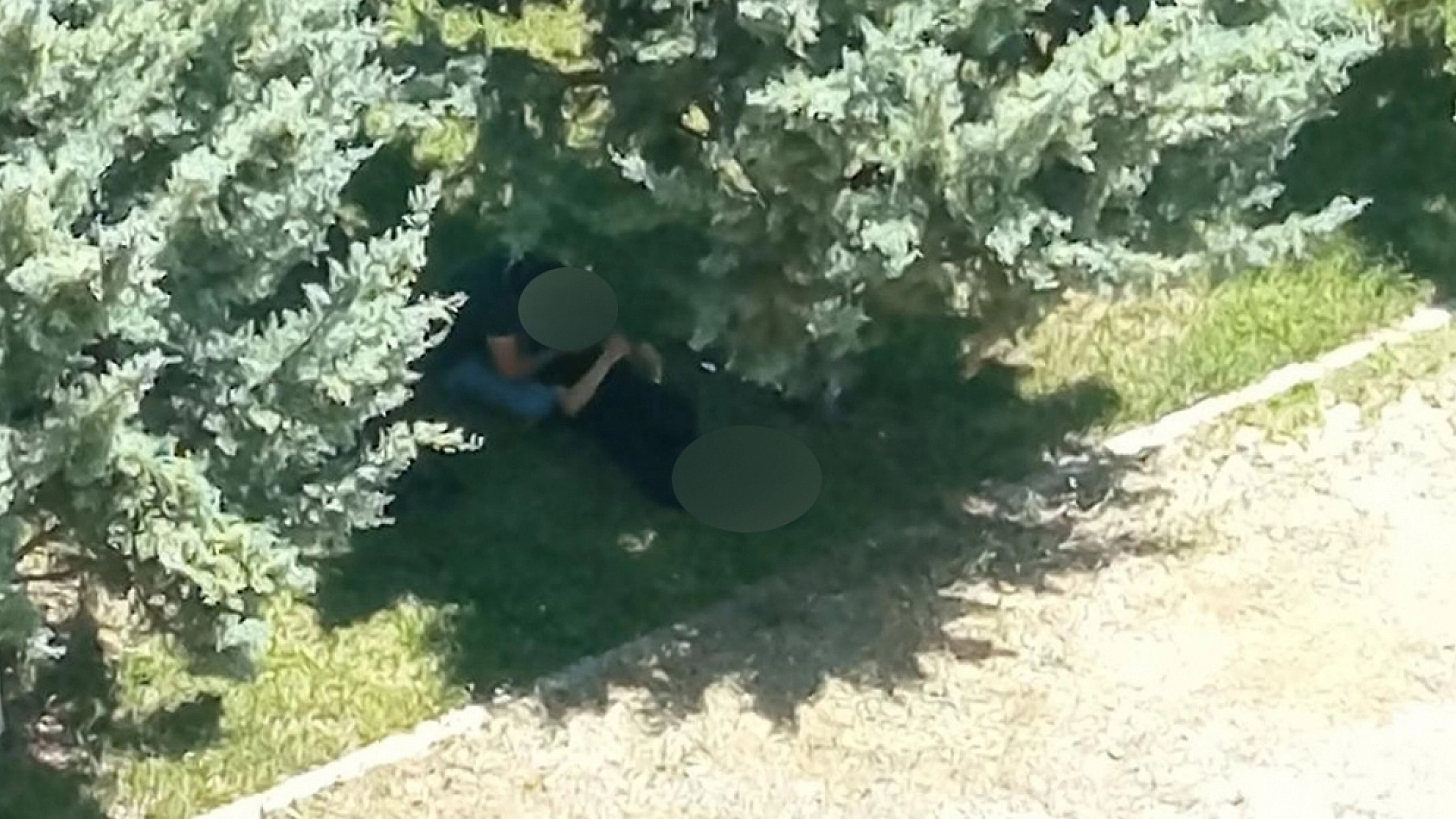 Elazığ'da gündüz vakti rezil görüntüler