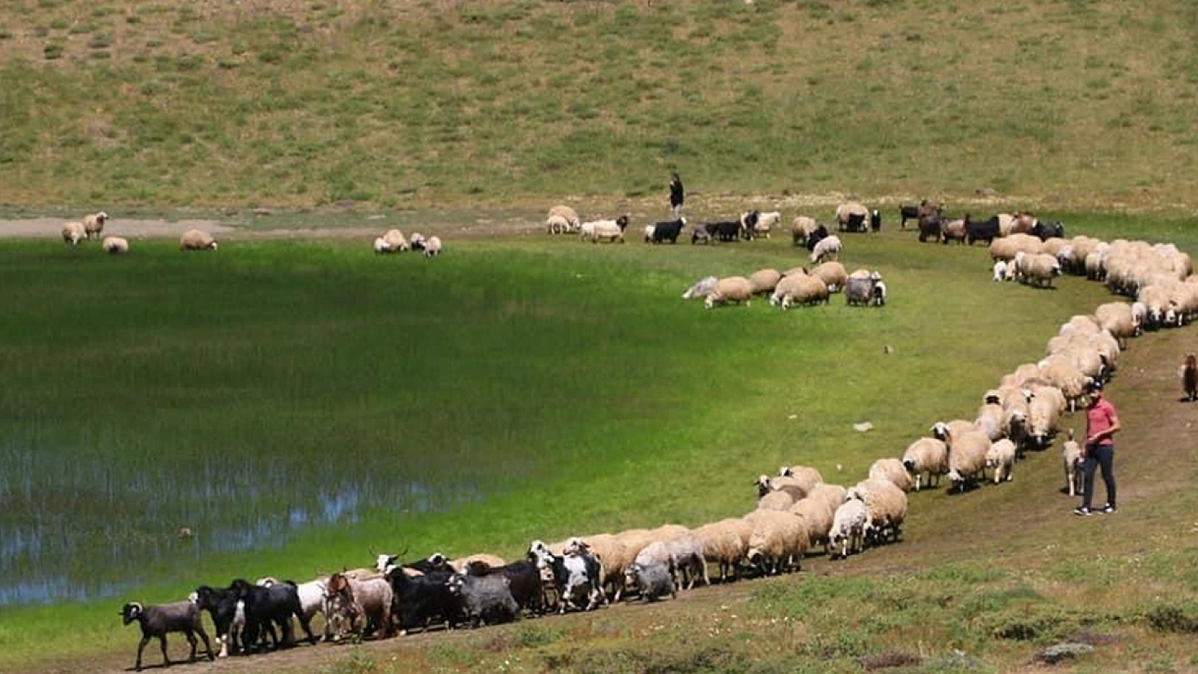 Elazığ'da ucuz diye tüketip sağlığınızdan olmayın