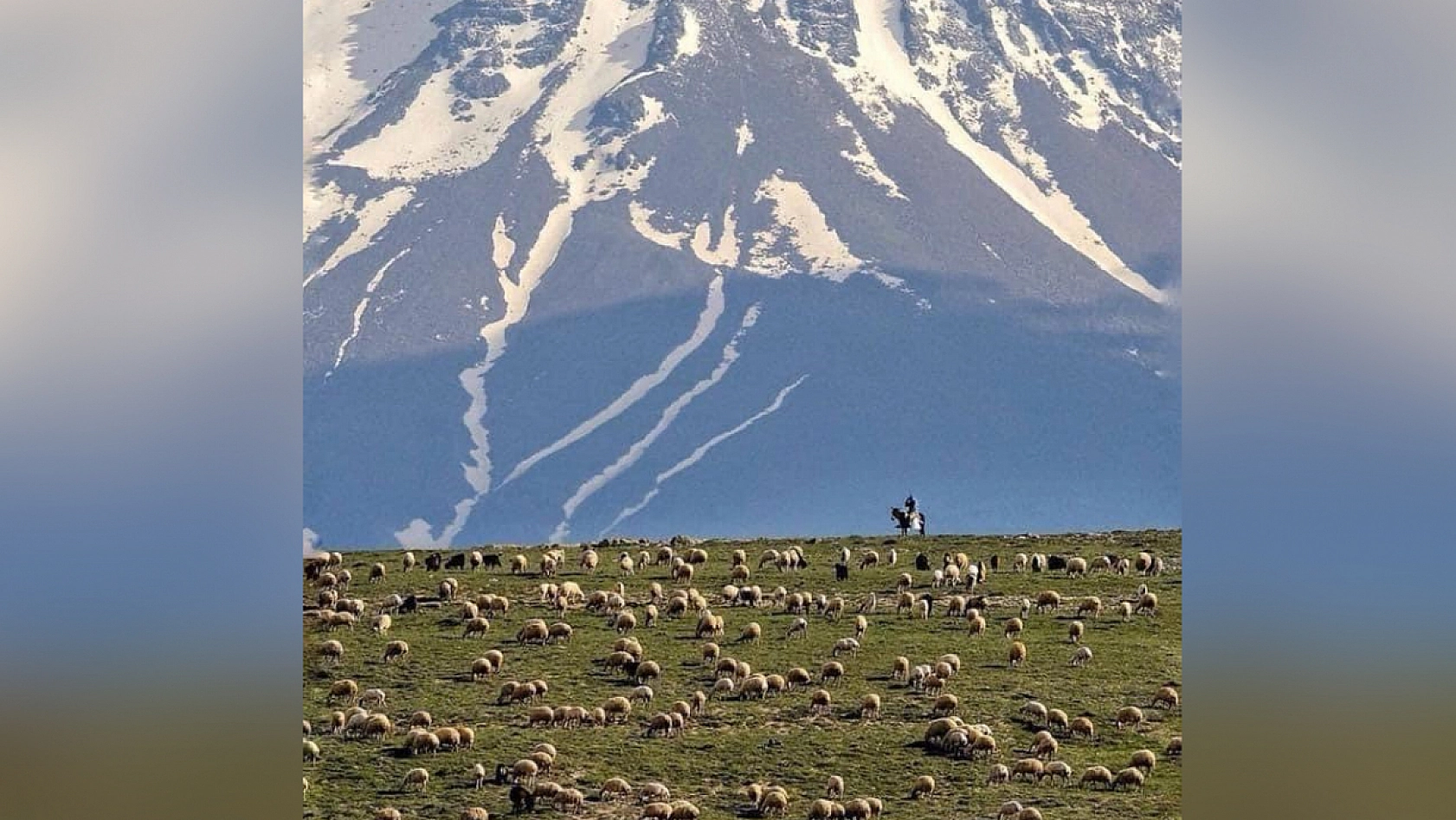 Elazığ'da ucuz diye tüketip sağlığınızdan olmayın