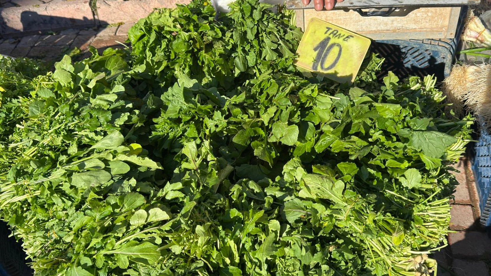 Elazığ halk pazarına yeşillikler renk kattı