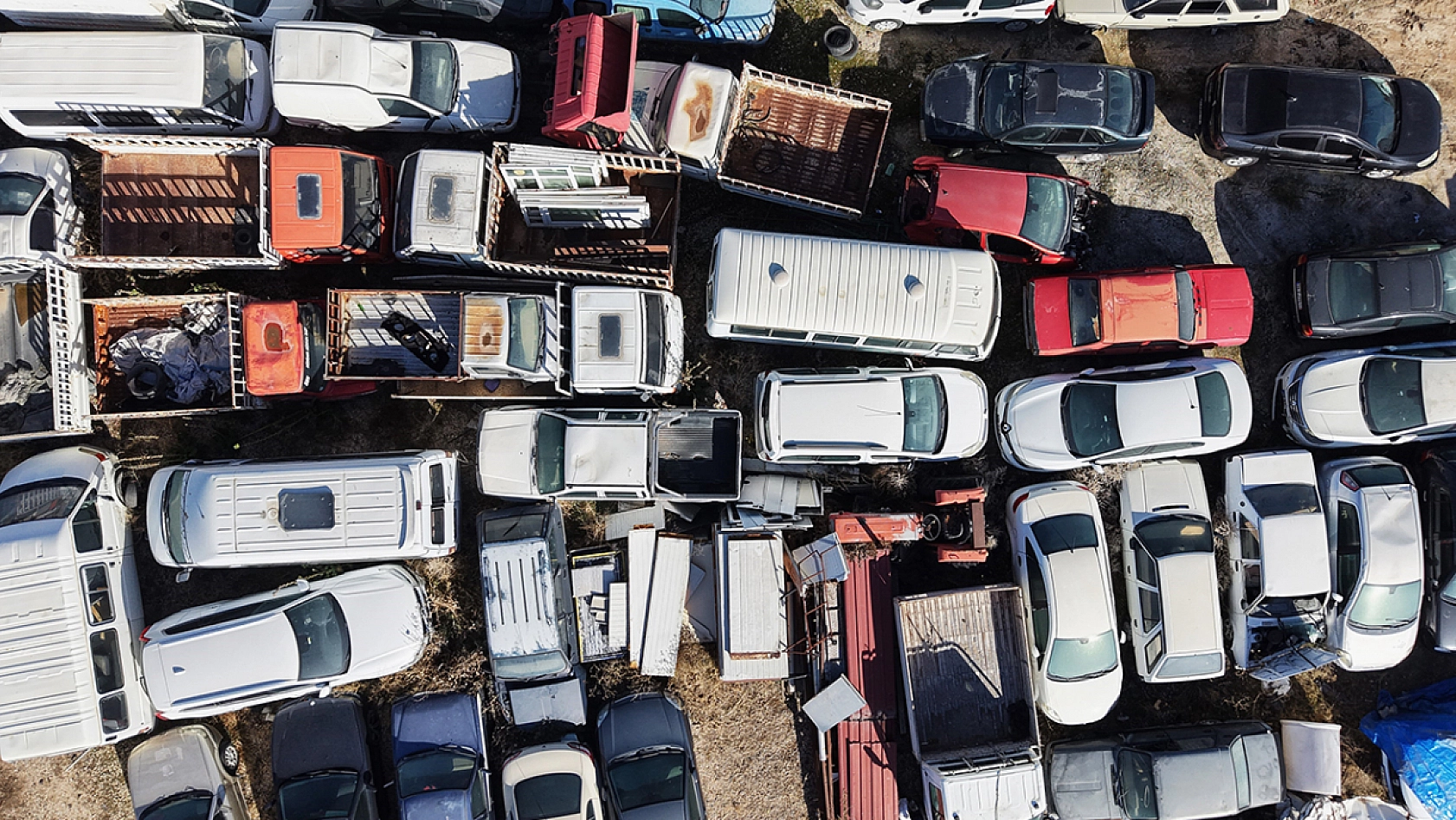 Elazığ'da 500 milyon TL'lik servet çürüyor