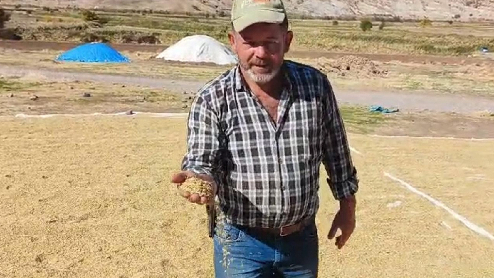 Elazığ'da Palu'nun meşhur üründe hasat zamanı