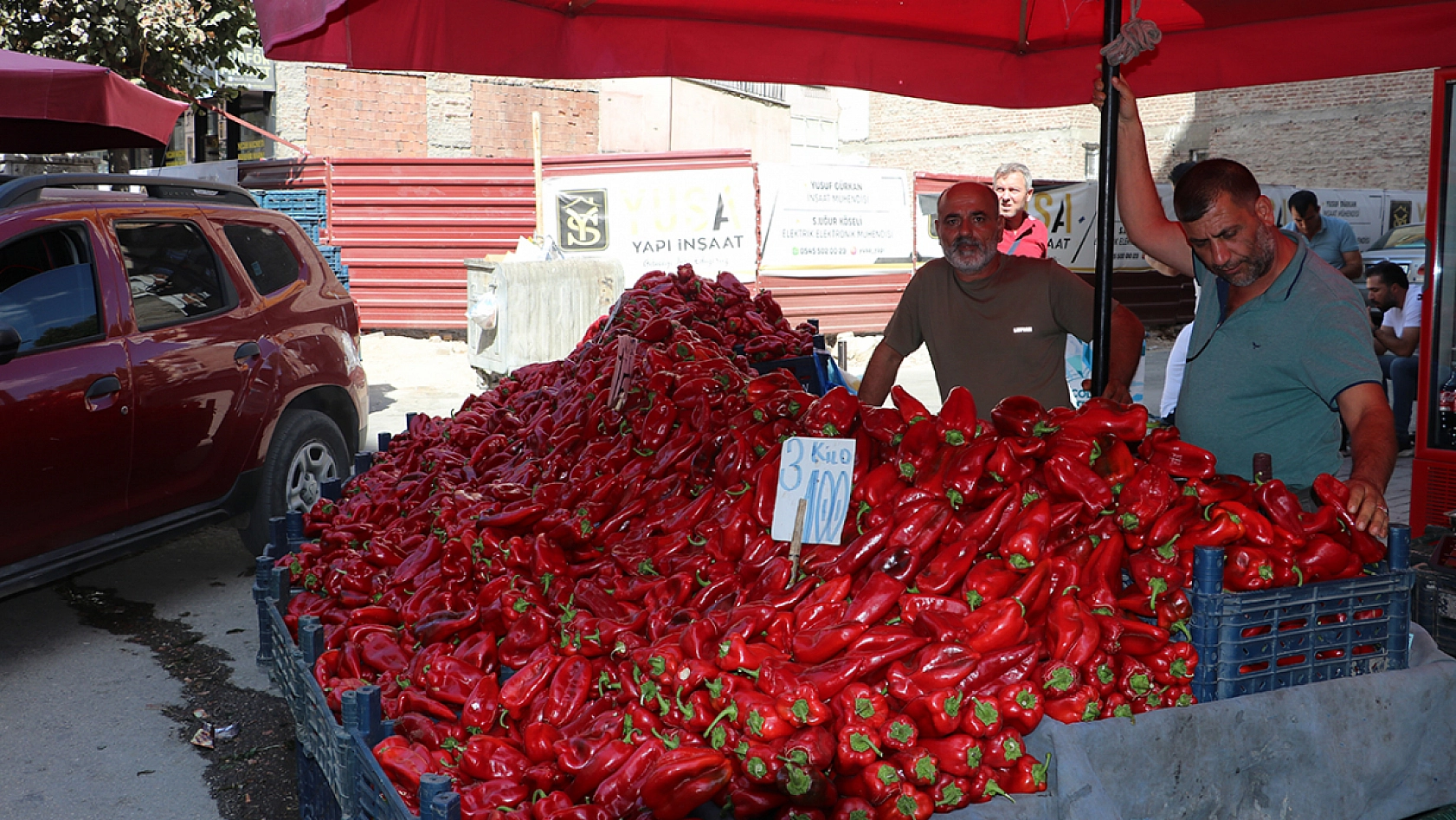 Elazığ'da yetişen alıyor! 3 kilo 100 TL'den satılıyor