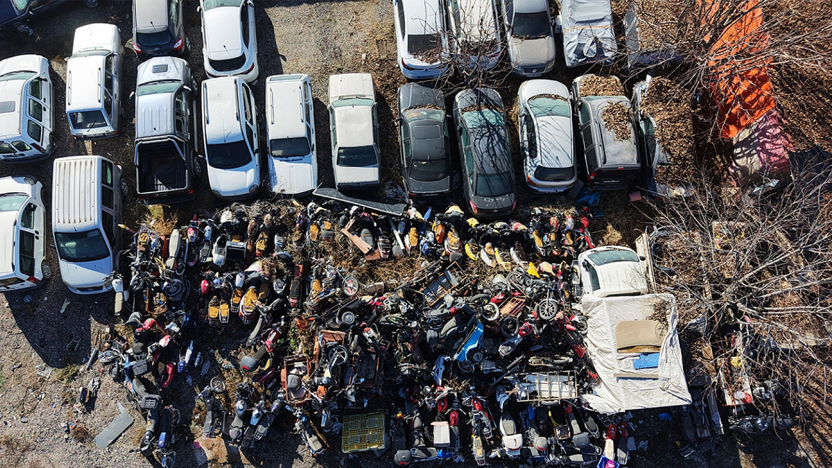 Elazığ'da 500 milyon TL'lik servet çürüyor