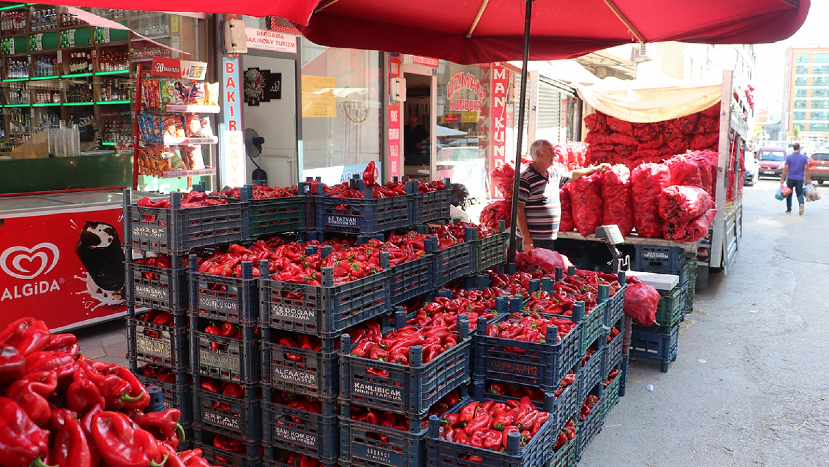 Elazığ'da yetişen alıyor! 3 kilo 100 TL'den satılıyor