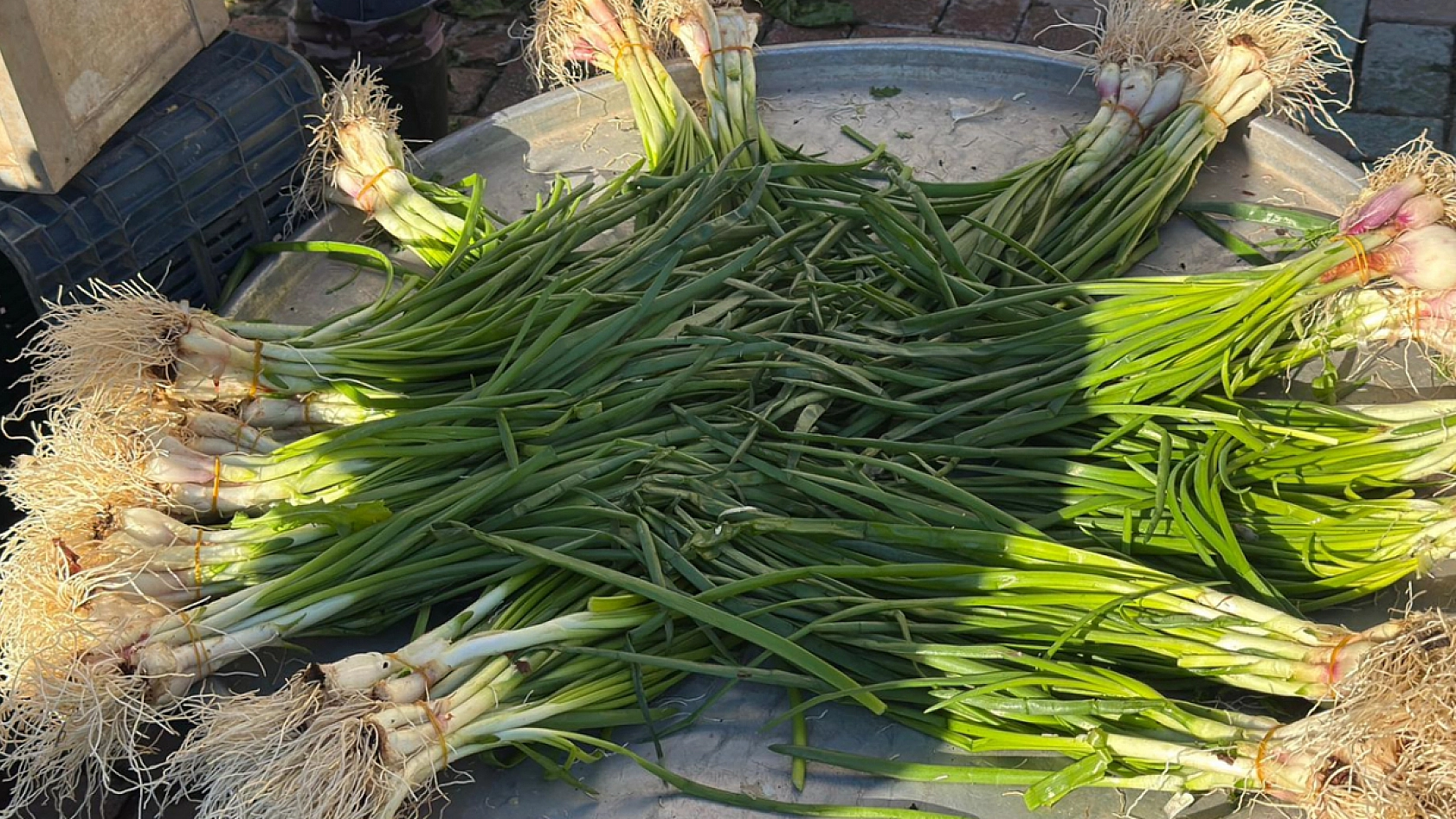 Elazığ halk pazarına yeşillikler renk kattı