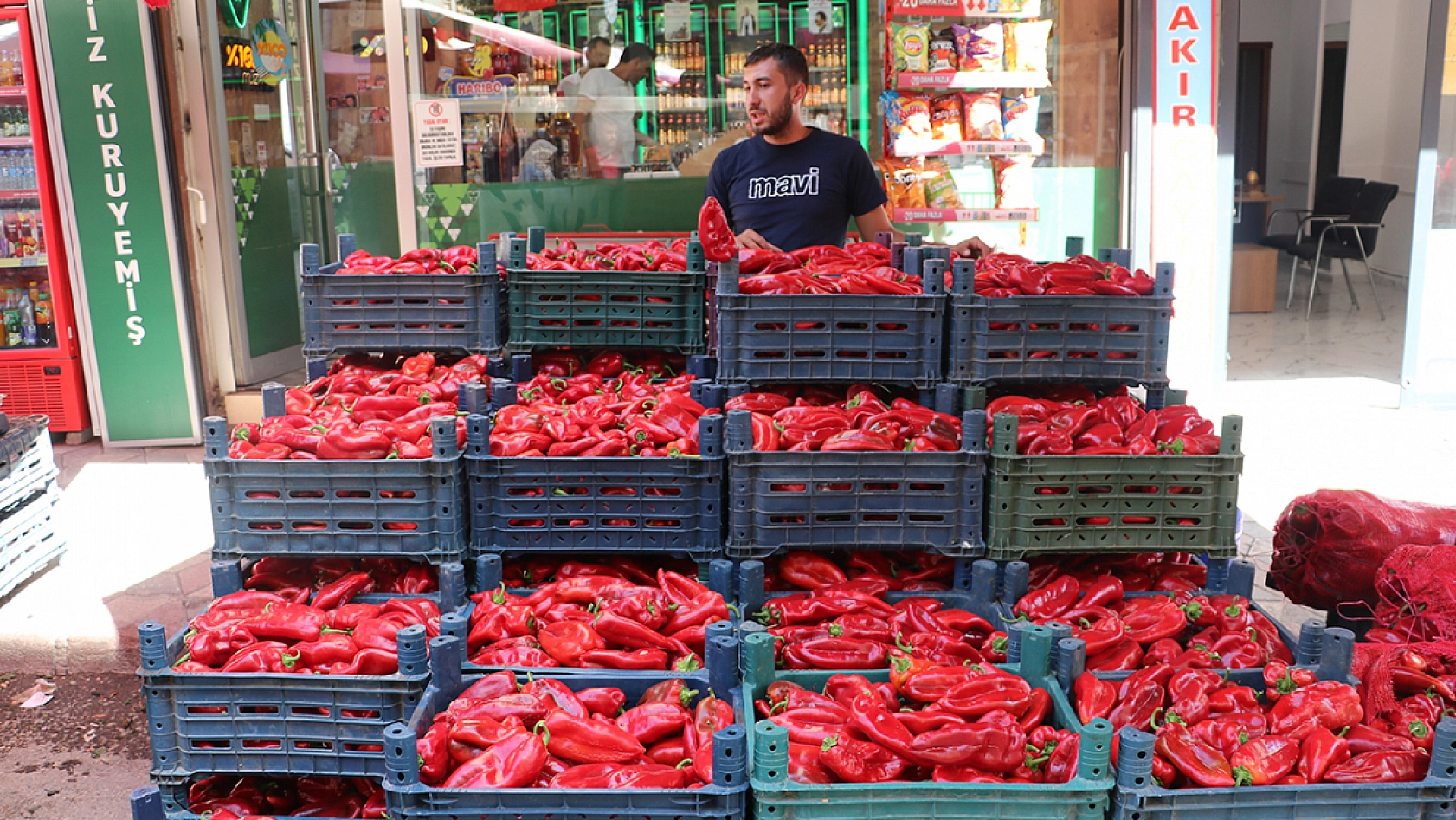 Elazığ'da yetişen alıyor! 3 kilo 100 TL'den satılıyor