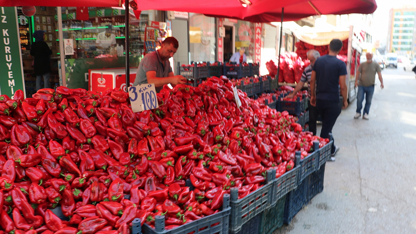 Elazığ'da yetişen alıyor! 3 kilo 100 TL'den satılıyor