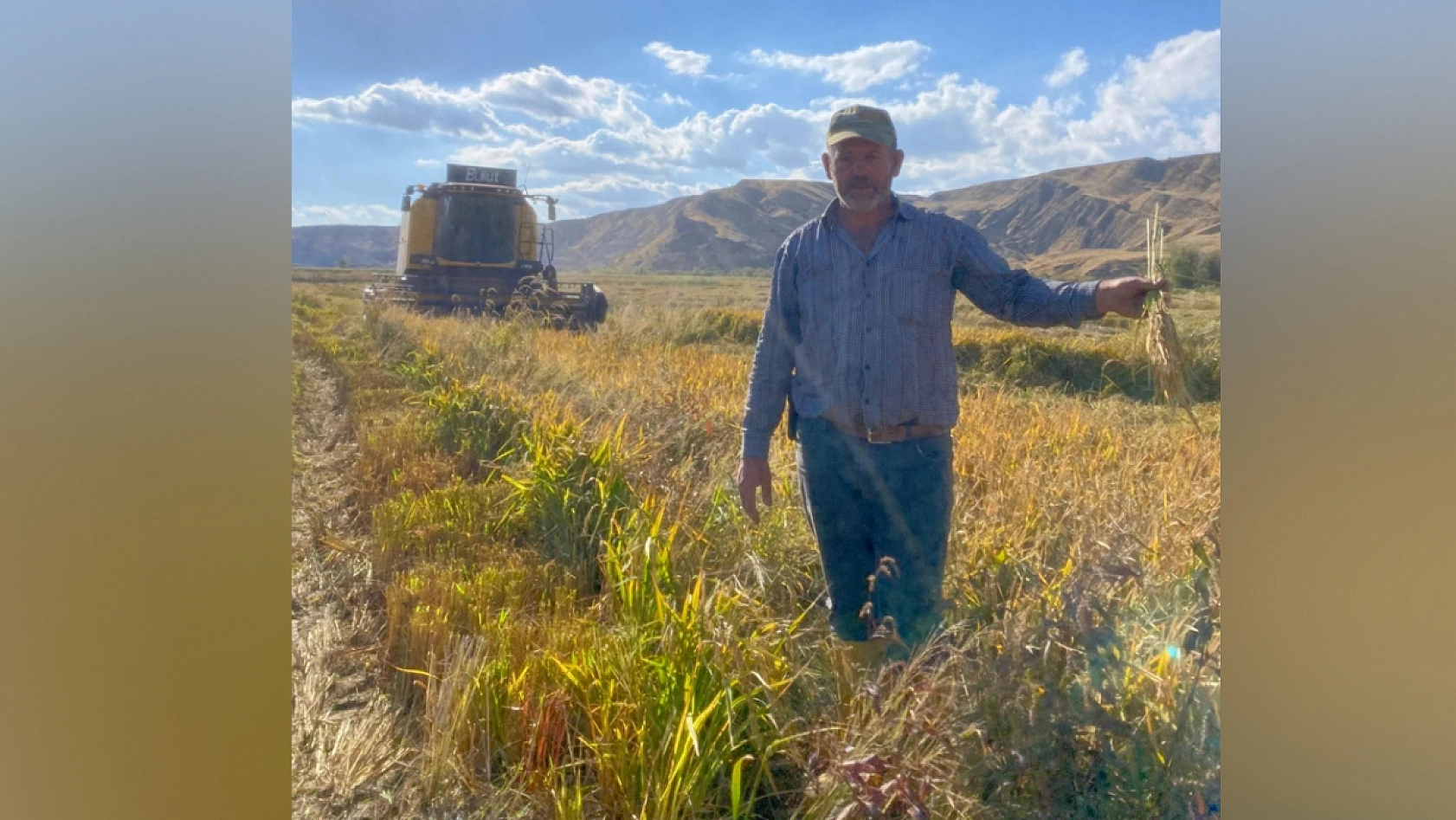 Elazığ'da Palu'nun meşhur üründe hasat zamanı