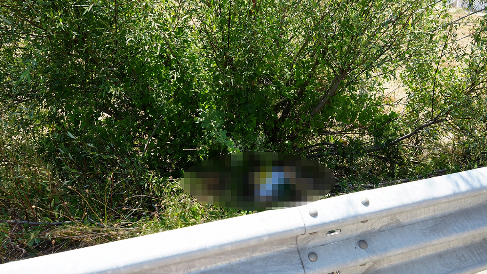 Ağacın altında ölü bulundu