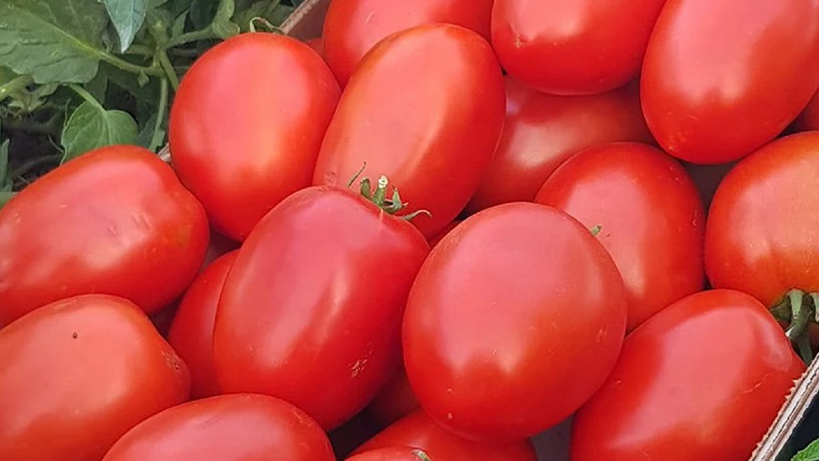 Elazığlı hanımlar dikkat: Kış hazırlığınız neredeyse bedavaya gelecek