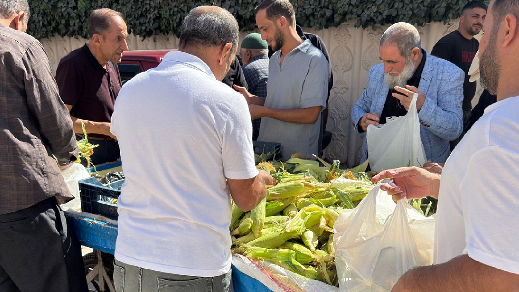 Elazığ'ın bereketli topraklarından sofralara: Elazığ'da tanesi 10 liradan kapış kapış satıldı