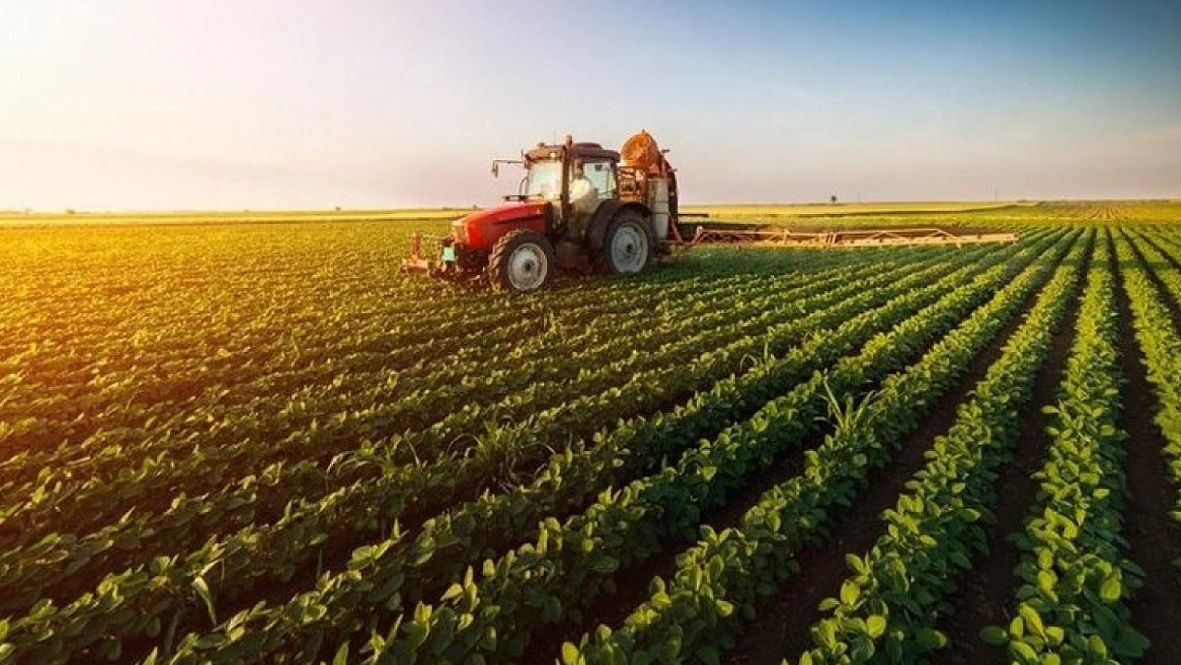 Elazığ kuruyor: Büyük tehlike kapıda