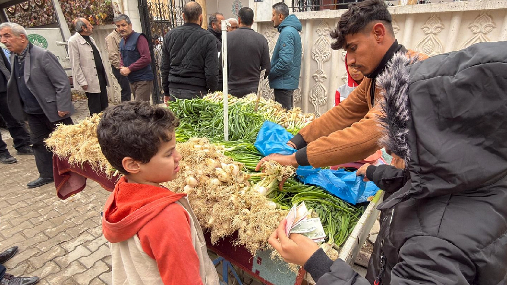 Elazığ'da kilosu 35 liraya düştü kilo kilo alındı