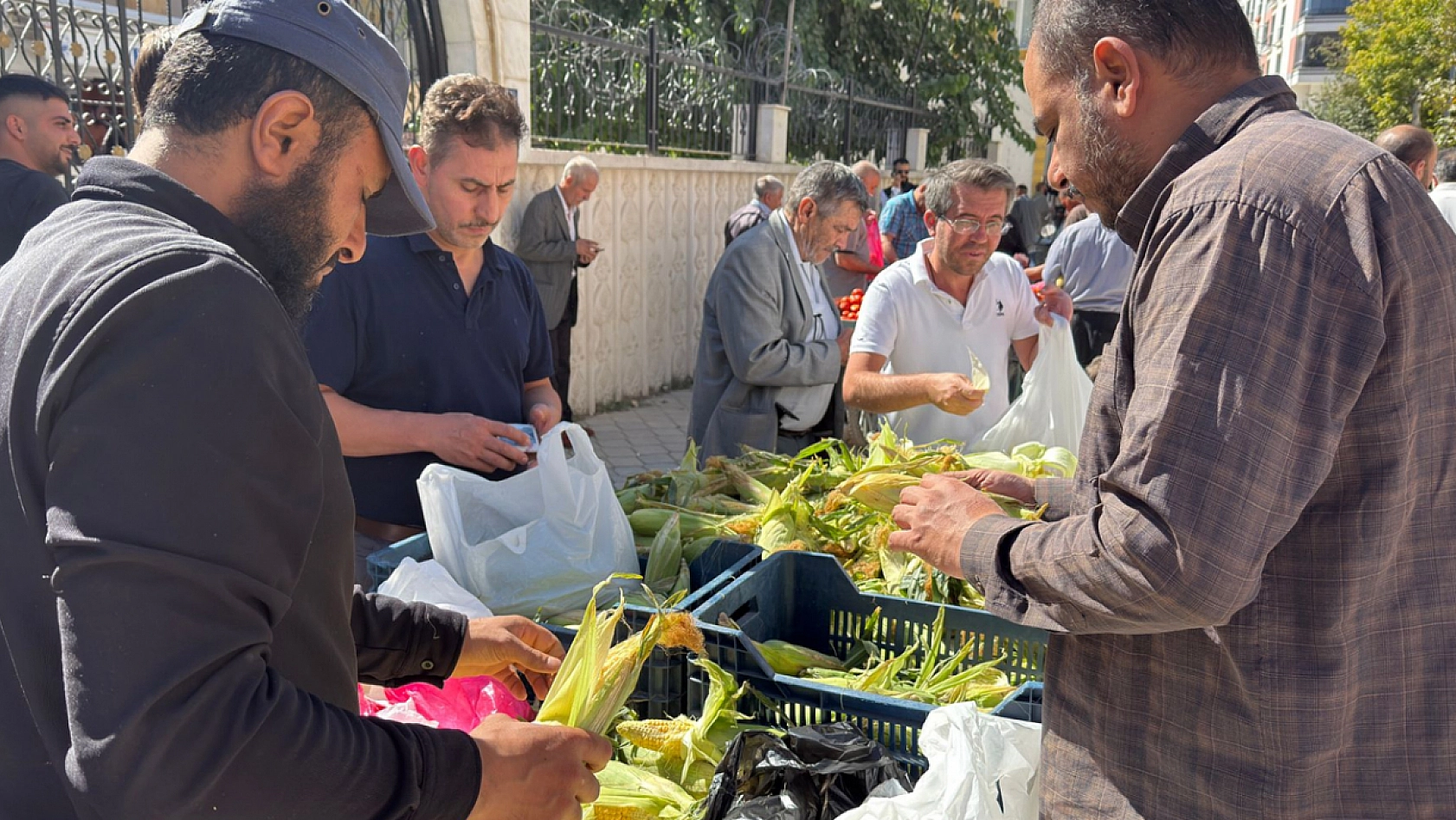 Elazığ'ın bereketli topraklarından sofralara: Elazığ'da tanesi 10 liradan kapış kapış satıldı