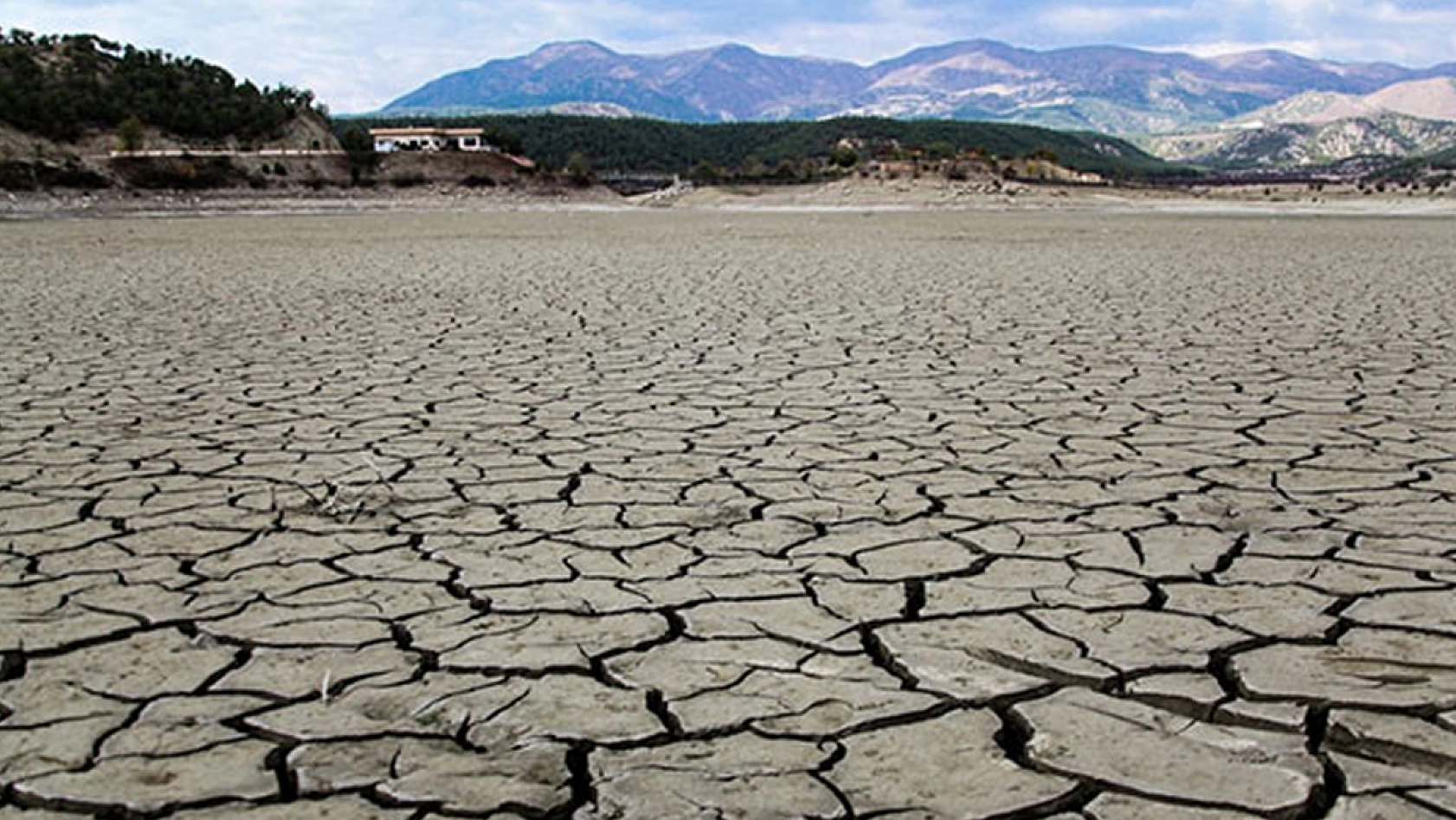Elazığ kuruyor: Büyük tehlike kapıda